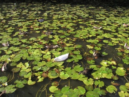 20111127155303_43147815