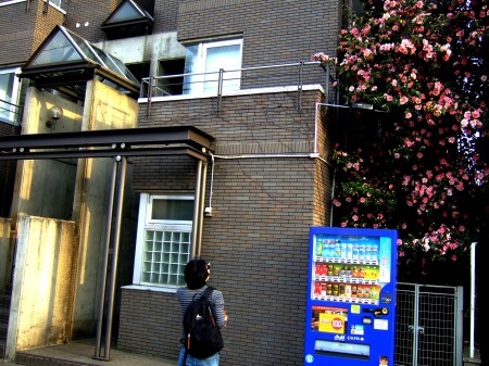 DSCF5180_Fotor_20130417