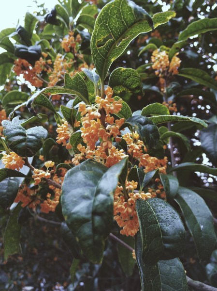 Processed with VSCOcam with m3 preset