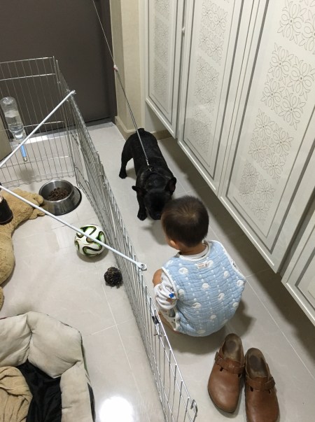 A4F997E7-B07D-4266-A432-664E9A2A7ADE