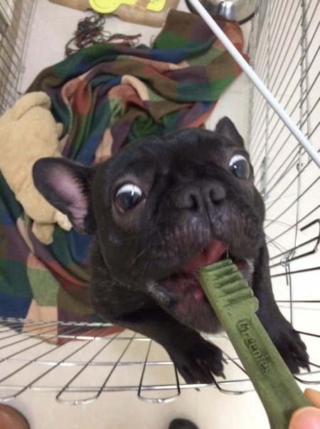 60758236-07C1-44A1-9EA7-04F50729B9E1