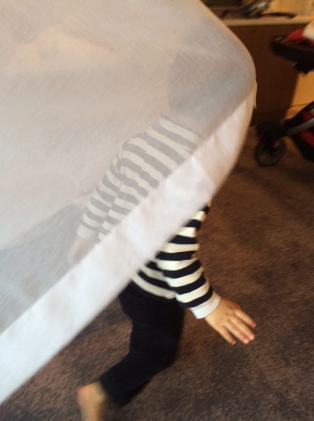 9FAD5339-0045-4643-864E-35A5B696550A