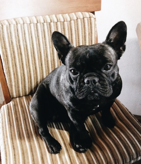 Processed with VSCO with a6 preset