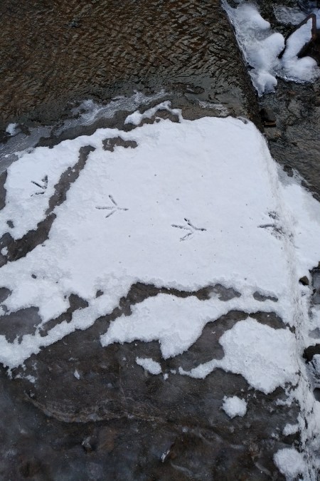 IMG_20180114_1453147