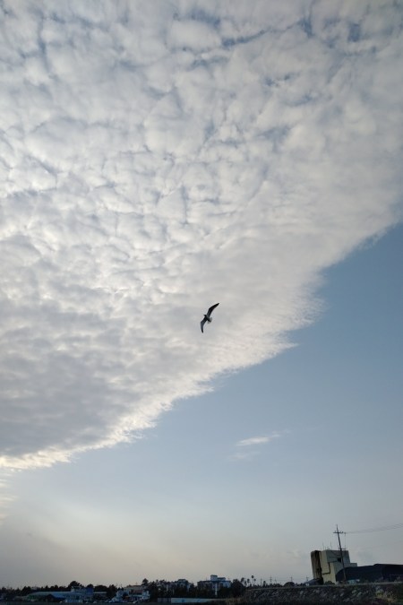 IMG_20180215_1644039