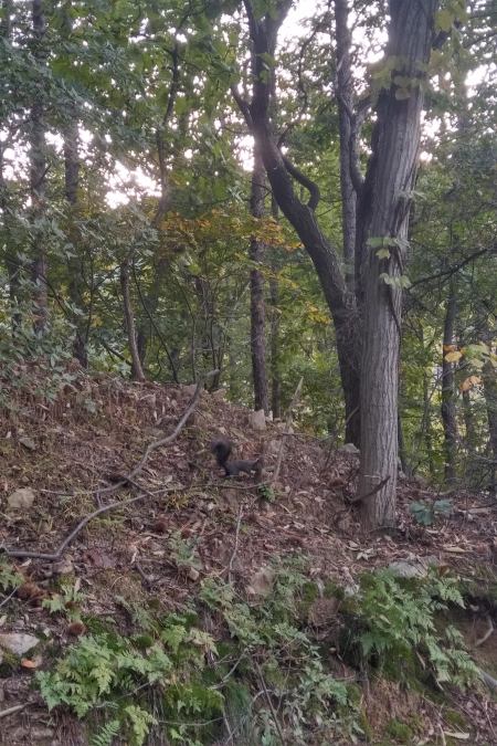 IMG_20181014_1635504